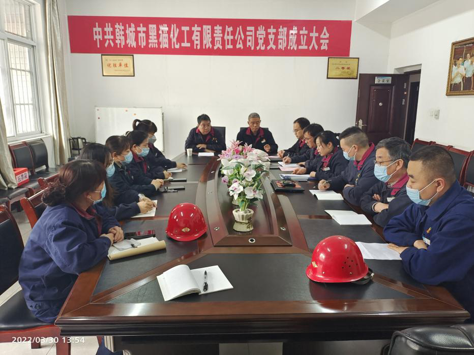 锻铸党建品牌，打造标杆企业