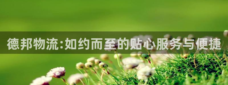 ,优游国际加拿大能提现吗：德邦物流: