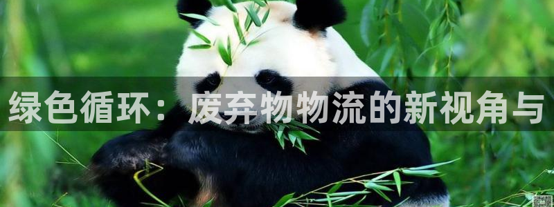 ,优游国际是正规平台吗：绿色循环：废