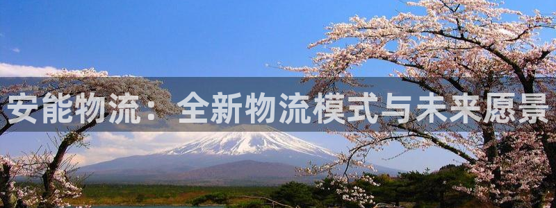,优游国际是啥：安能物流：全新物流模