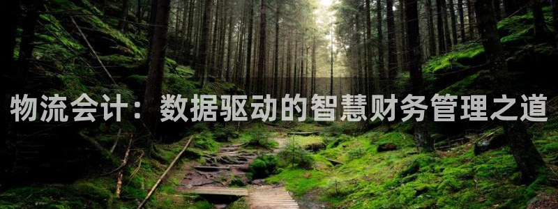 ,优游国际黑钱：物流会计：数据驱动的