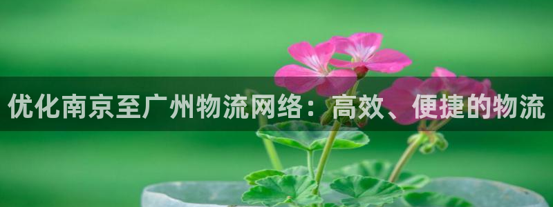 ,优游国际是什么软件：优化南京至广州