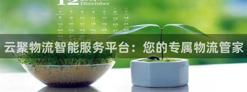 ,优游国际注册链接：云聚物流智能服务