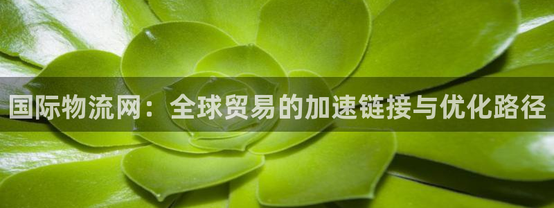 ,优游国际黑款：国际物流网：全球贸易