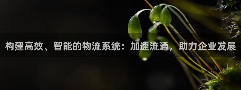 ,优游国际在线预测：构建高效、智能的