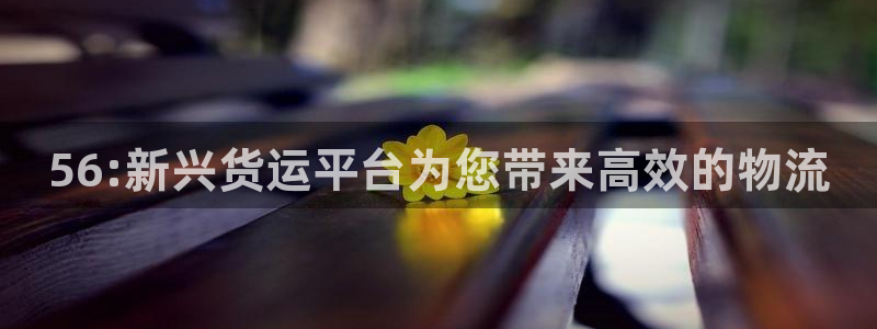 ,优游国际注册登录链接：56:新兴货