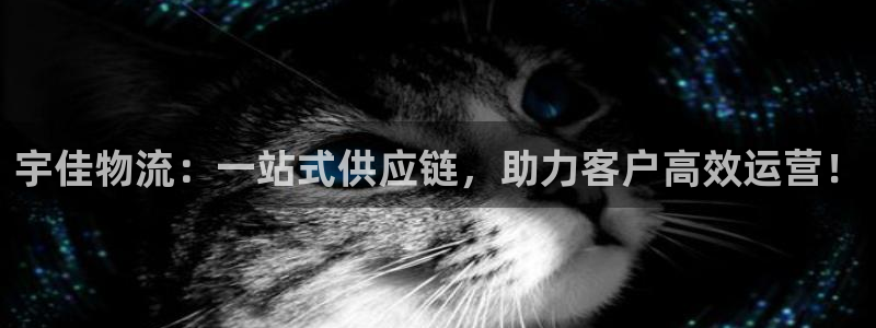 ,优游国际口戒指是多大：宇佳物流：一