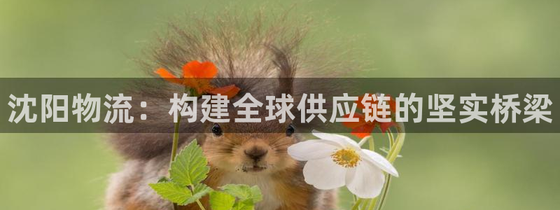 ,优游国际app怎么注册账号：沈阳物