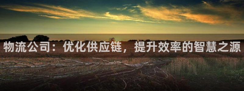 ,优游国际免费