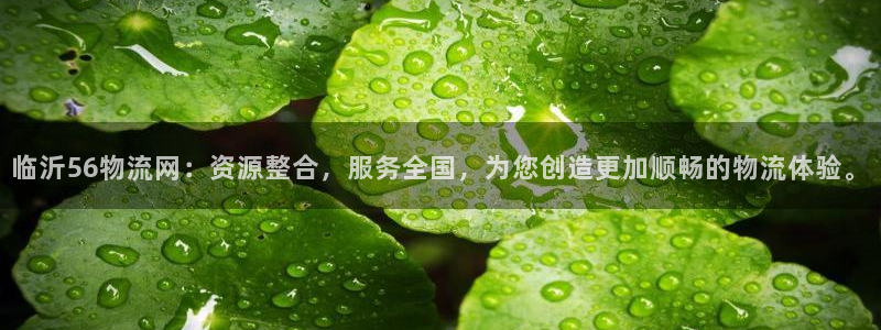 优游国际官网入口正版：临沂56物流网