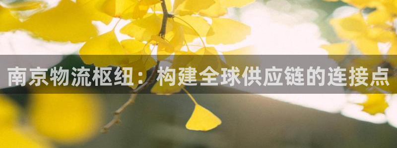 ,优游国际机器人是什么软件：南京物流