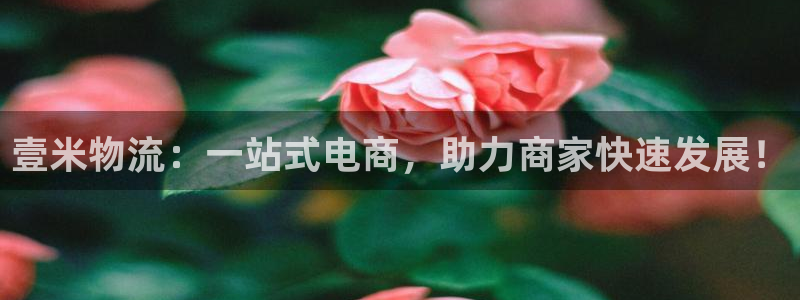 ,优游国际怎么申请代理：壹米物流：一