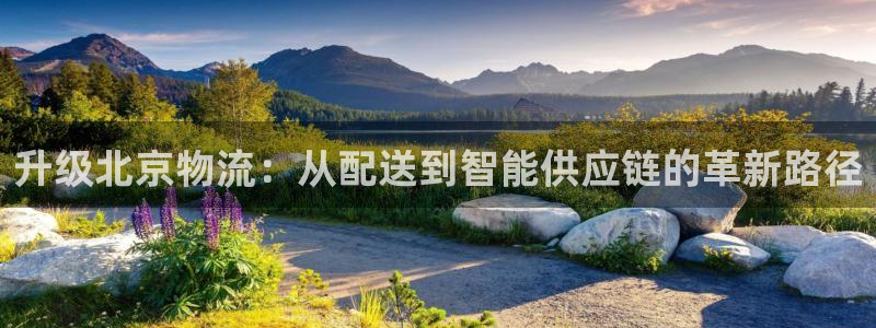 ,优游国际软件是什么：升级北京物流：