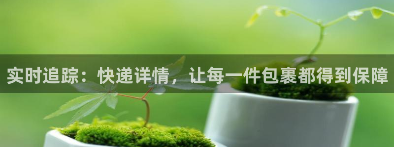 ,优游国际模拟器下载：实时追踪：快递