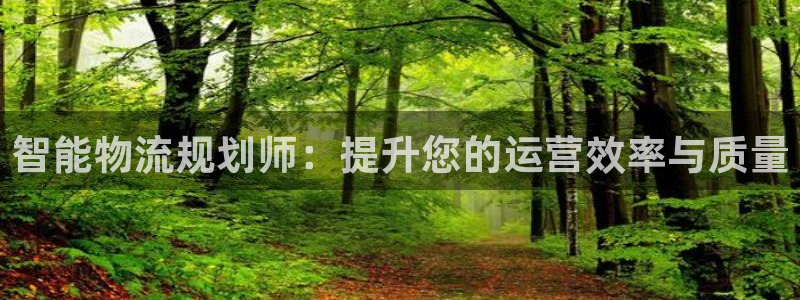 ,优游国际软件是诈骗吗：智能物流规划