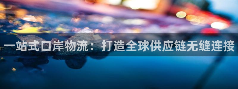 ,优游国际官方：一站式口岸物流：打造