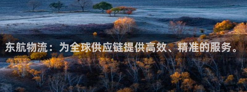 ,优游国际入口问一问：东航物流：为全