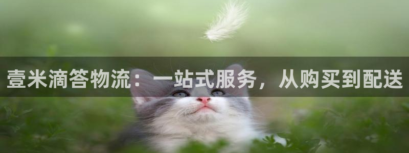 ,优游国际加拿大28:壹米滴答物流: