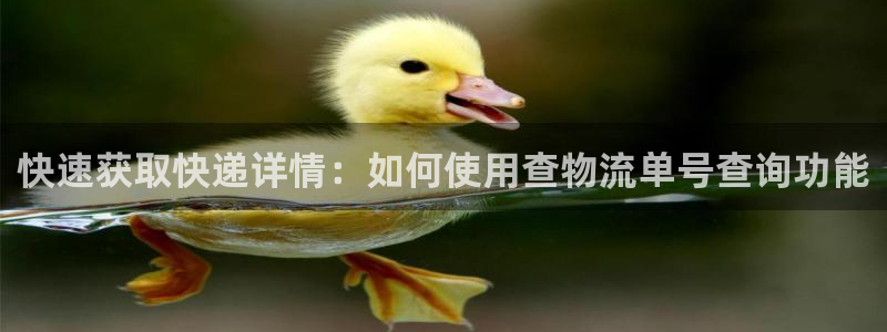 ,优游国际加拿大最新版