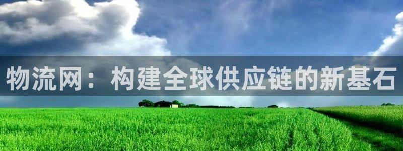 ,优游国际v6能卖多少：物流网：构建